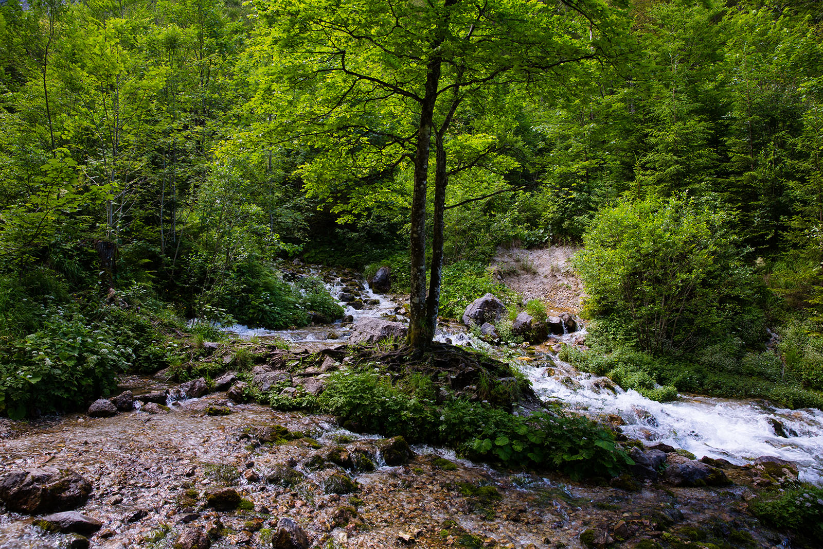 Hochseilgarten & Paragleiten